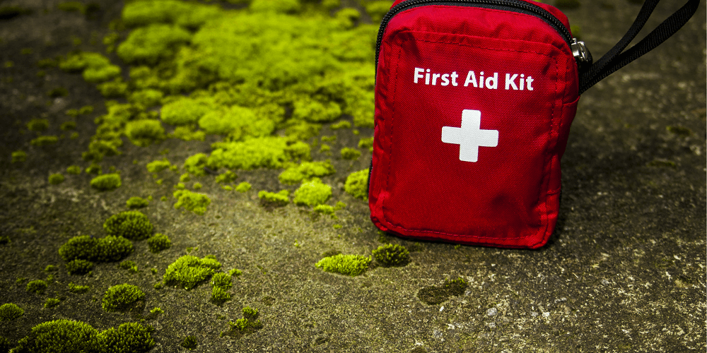 What Should Be Included In A Camping First Aid Kit? - LFA