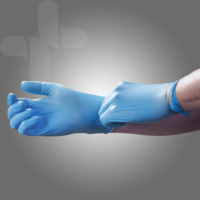 Nitrile Powder Free Gloves Large Bag 2 - Carton of 500