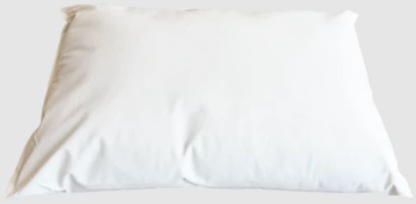 Wipclean pillow